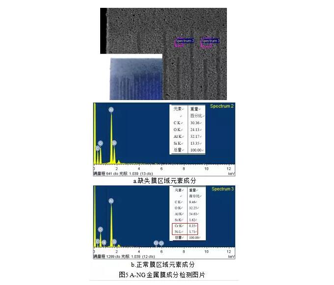 缺失膜與正常膜區(qū)域的元素檢測結果